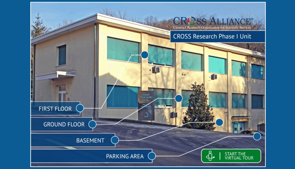 Cross Alliance - Virtual Tour